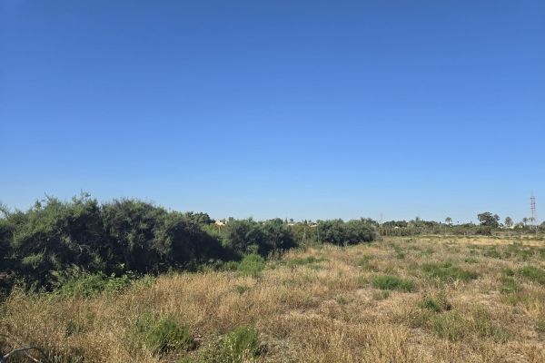 TERRENO EN VENTA EN PERLETA