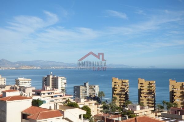 Apartamento Alquiler