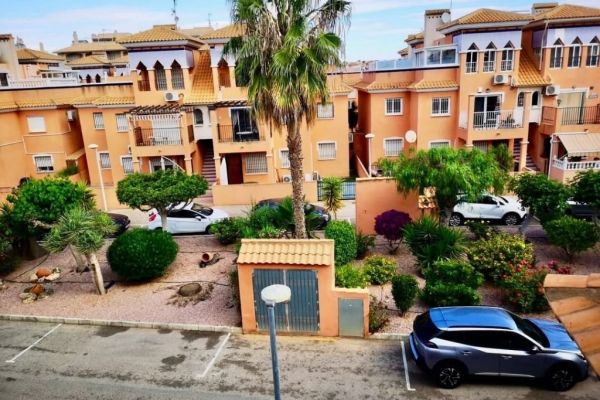 SUBASTA GANADA ORIHUELA