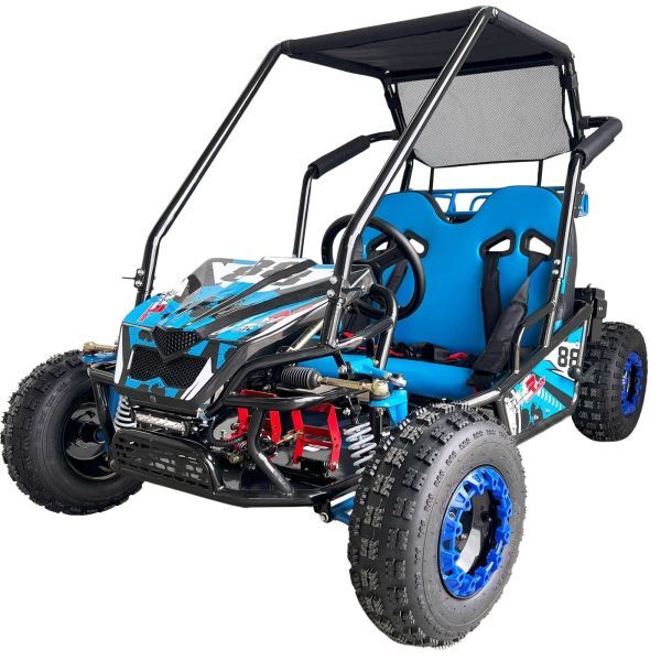 Descubre el buggy infantil de gasolina