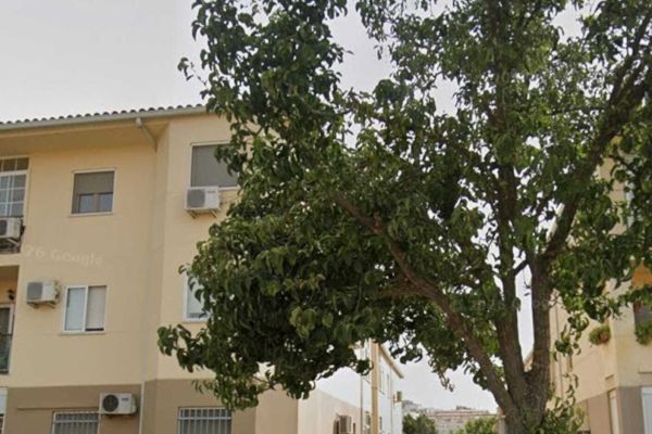 PISO EN AVDA, LOS MILAGROS