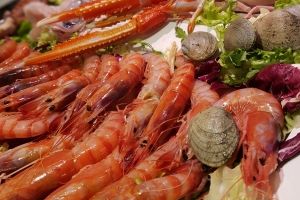 Comer marisco fresco en restaurantes en Benidorm
